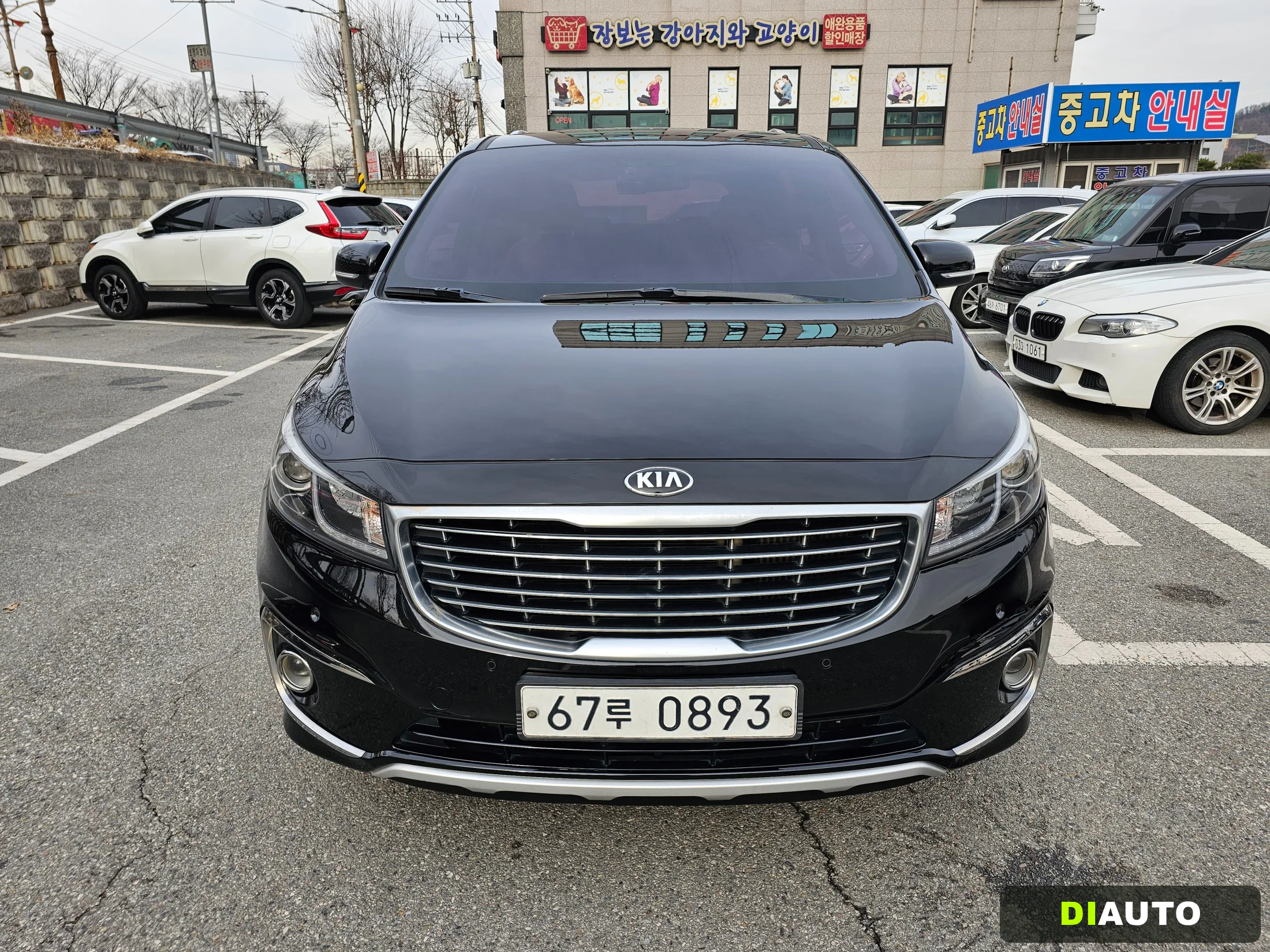 Kia Canival