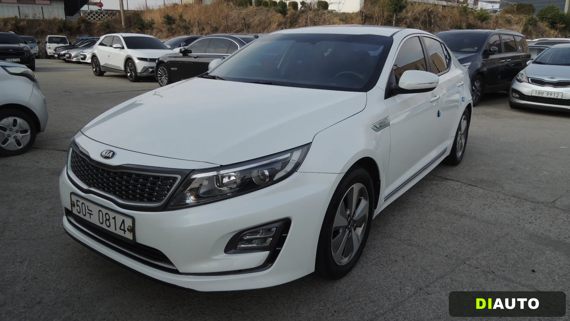 Kia K5