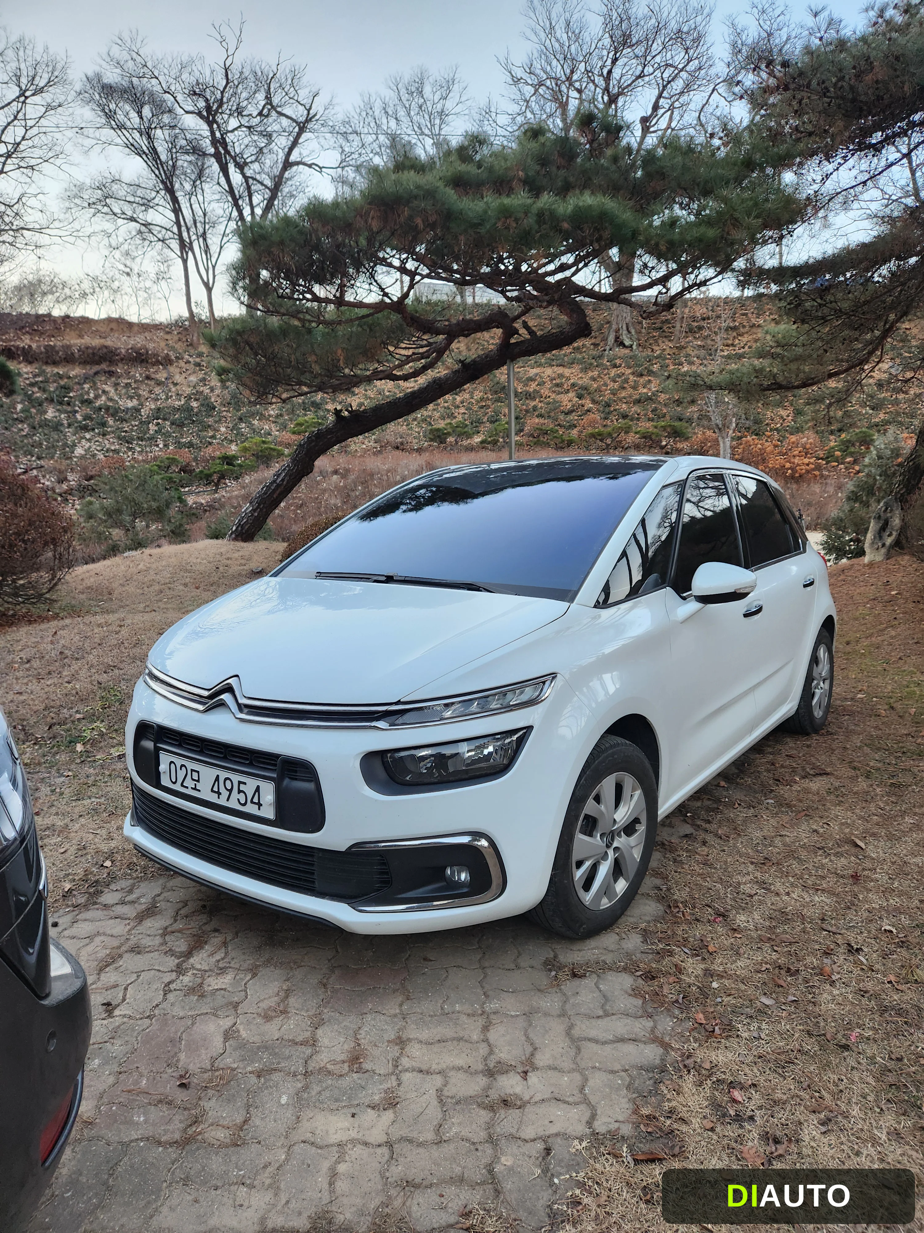 Citroen-DS C4 Picasso