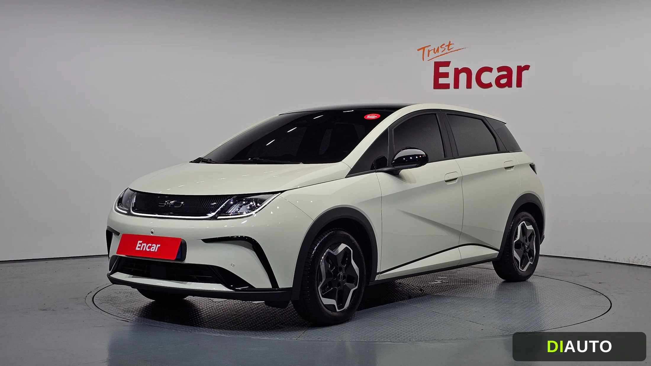 BYD Dolphin