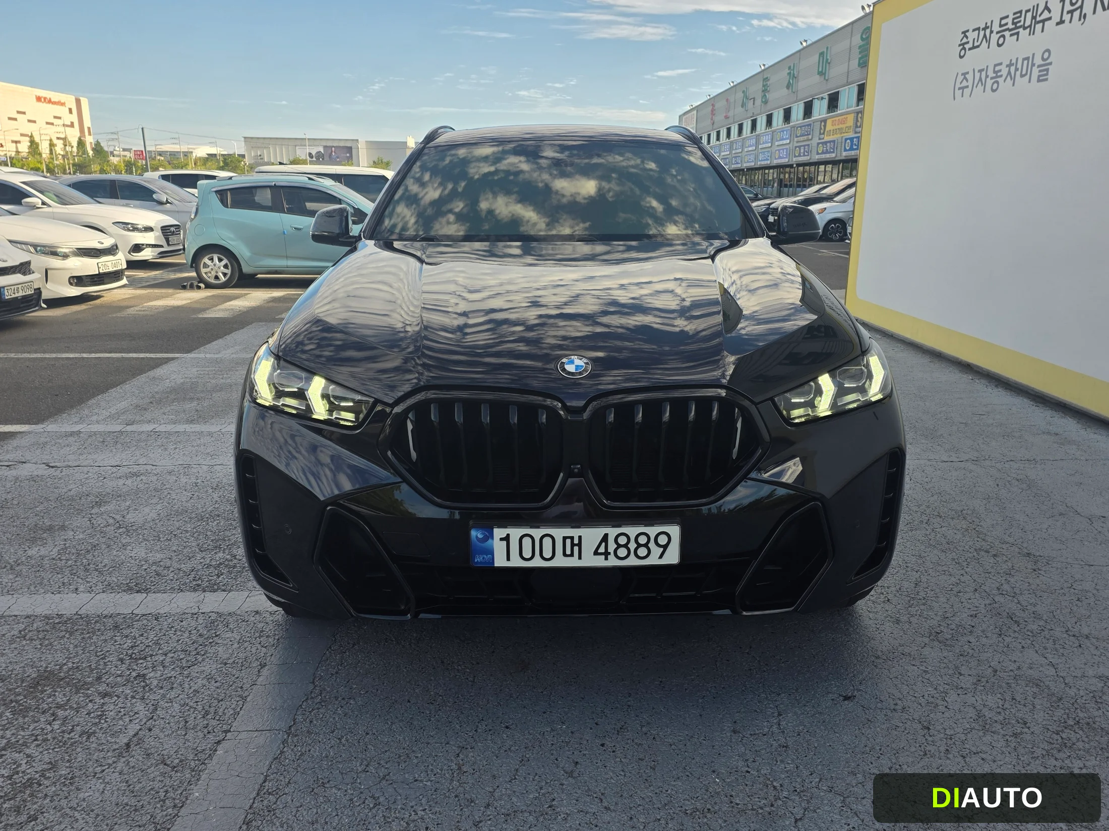 BMW X6