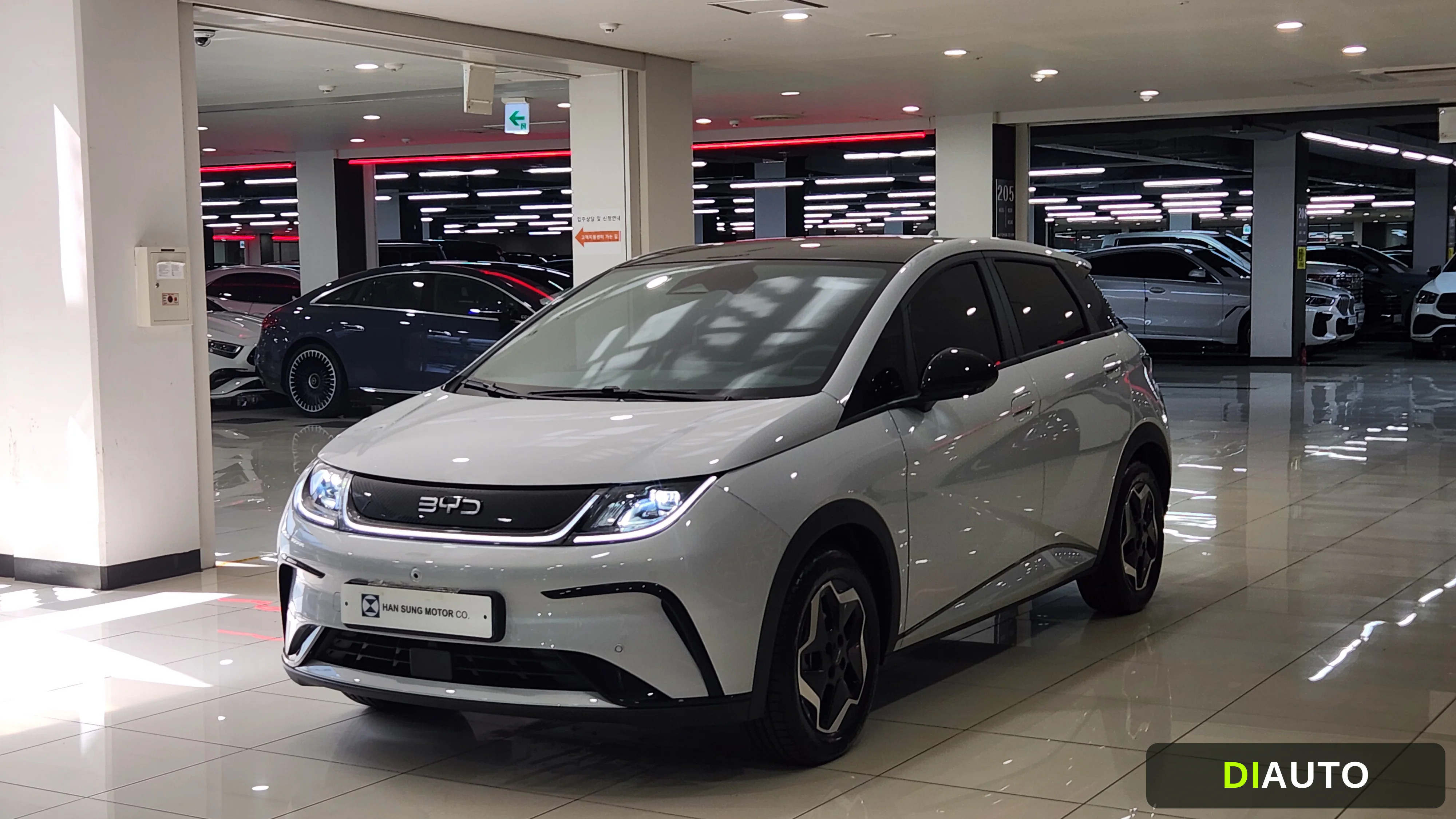 BYD Dolphin