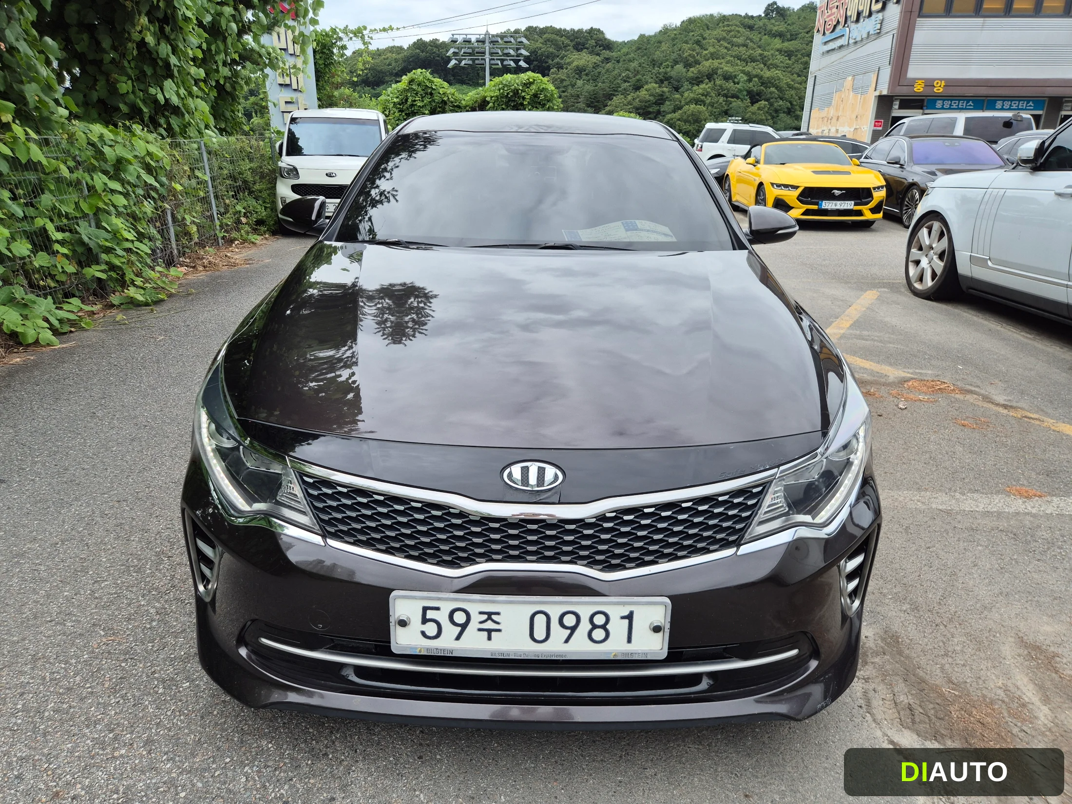 Kia K5